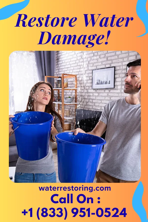 water restoration Platinum Water Damage Crew Allentown