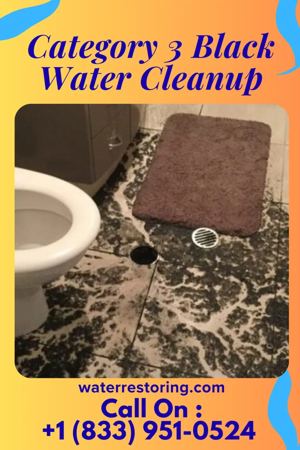 Category 3 Black Water Cleanup in Allentown, PA