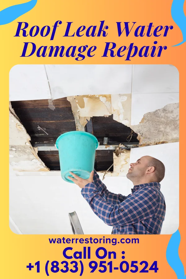 Roof Leak Water Damage Repair in Allentown, PA