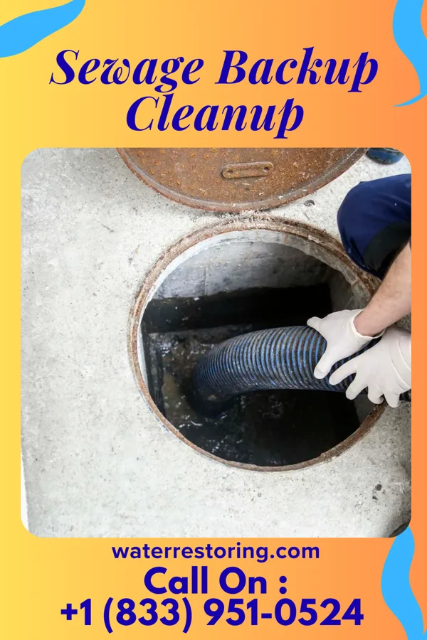 Sewage Backup Cleanup in Allentown, PA